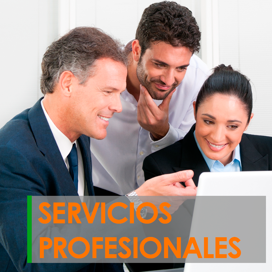 servicios profesionales